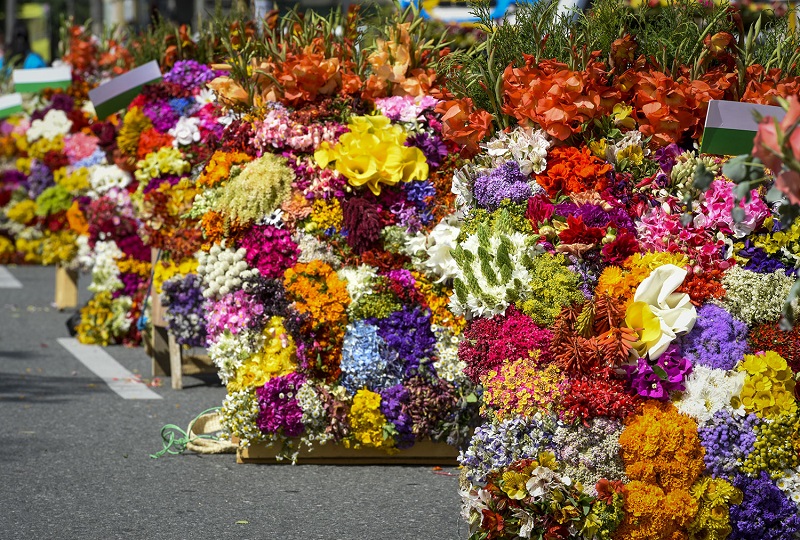 Feira das Flores em Medellín