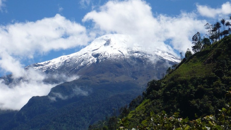 Parque Nacional Natural Los Nevados, na Cordilheira dos Andes