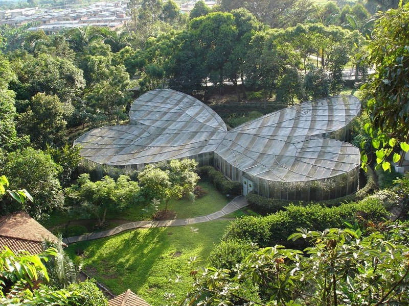Estufa do Jardim Botânico de Bogotá