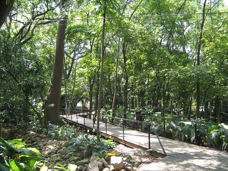 Bosque no Jardim Botânico de Medellín