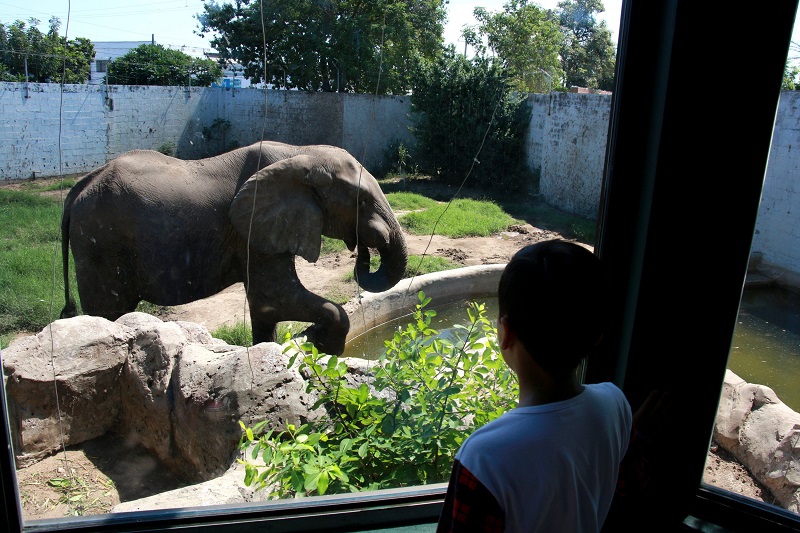 Criança no Zoológico de Barranquilla